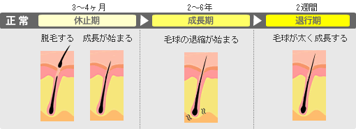 ヘアサイクル