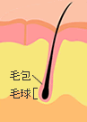 ヘアサイクル